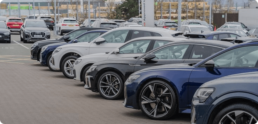Used Car Dealers